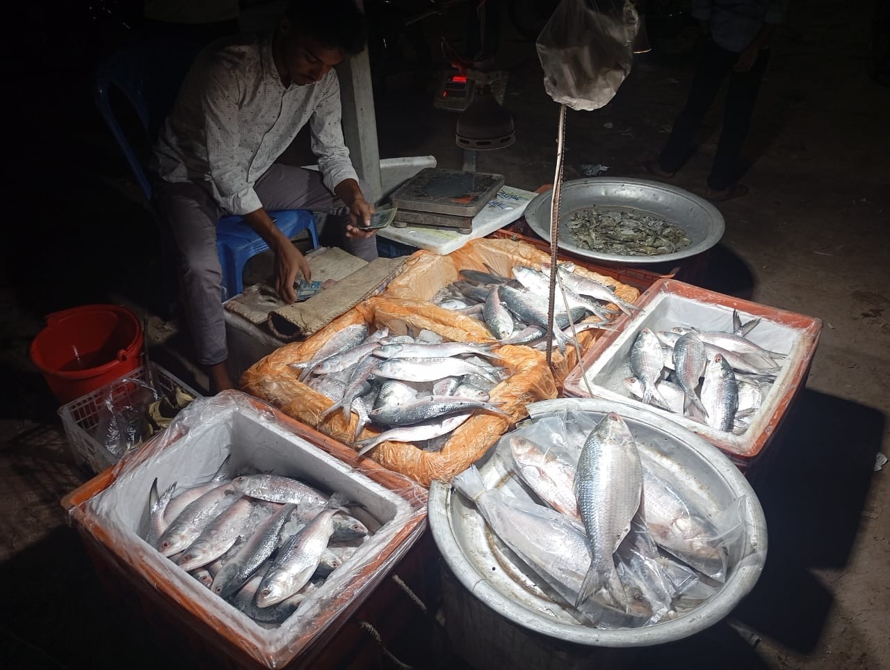 ইলিশ মাছ(হোম ডেলিভারী)
